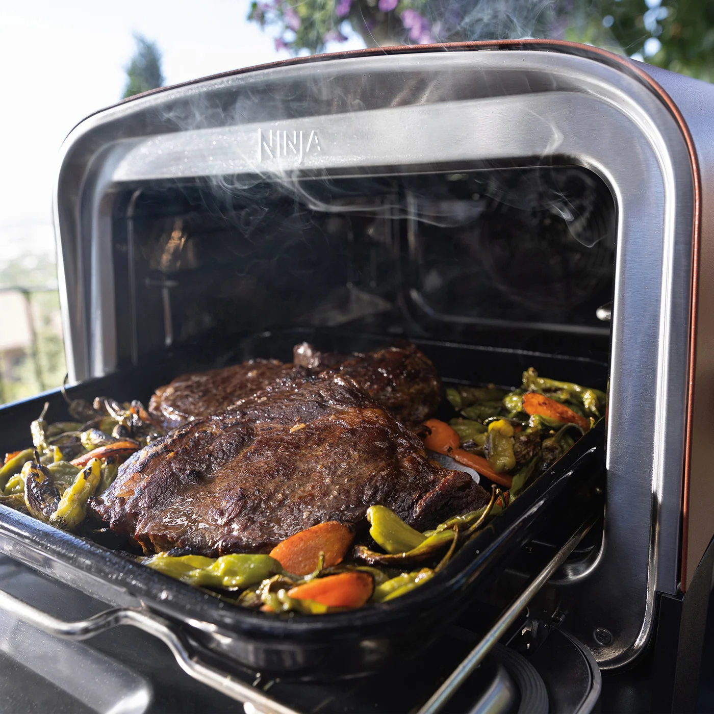 Ninja-R-OO101UK-InUse-Balcony-OnStand-Open-SteakVeggies_RGB